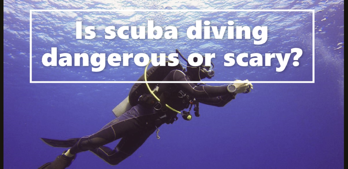 Is Scuba Diving Dangerous Or Scary Fit Diving