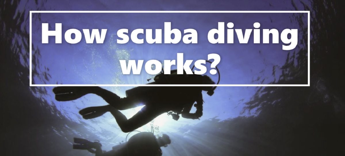 How scuba diving works?