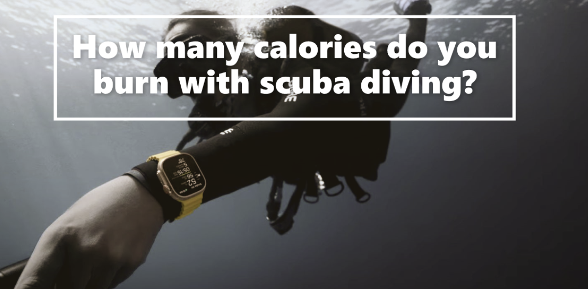 How many calories do you burn with scuba diving?