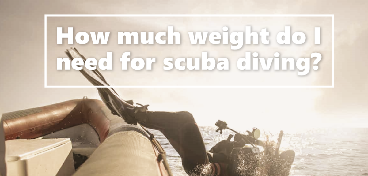 How much weight do I need for scuba diving?
