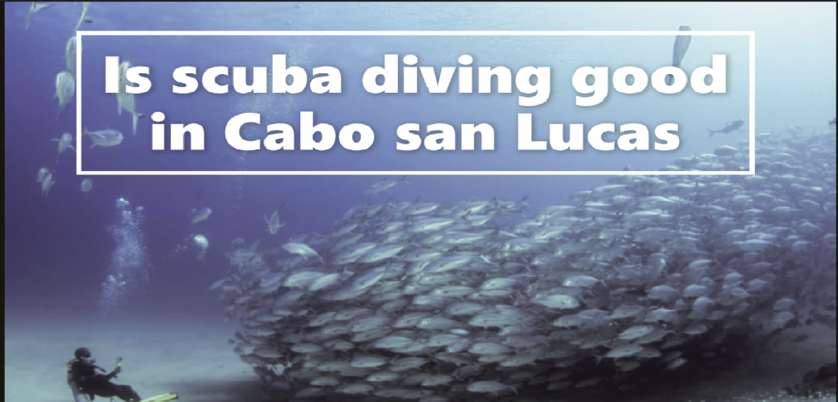 Is scuba diving good in Cabo san Lucas?