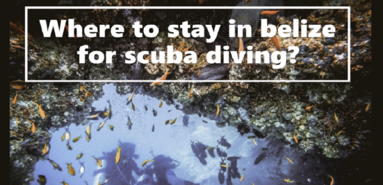 Where to stay in belize for scuba diving?