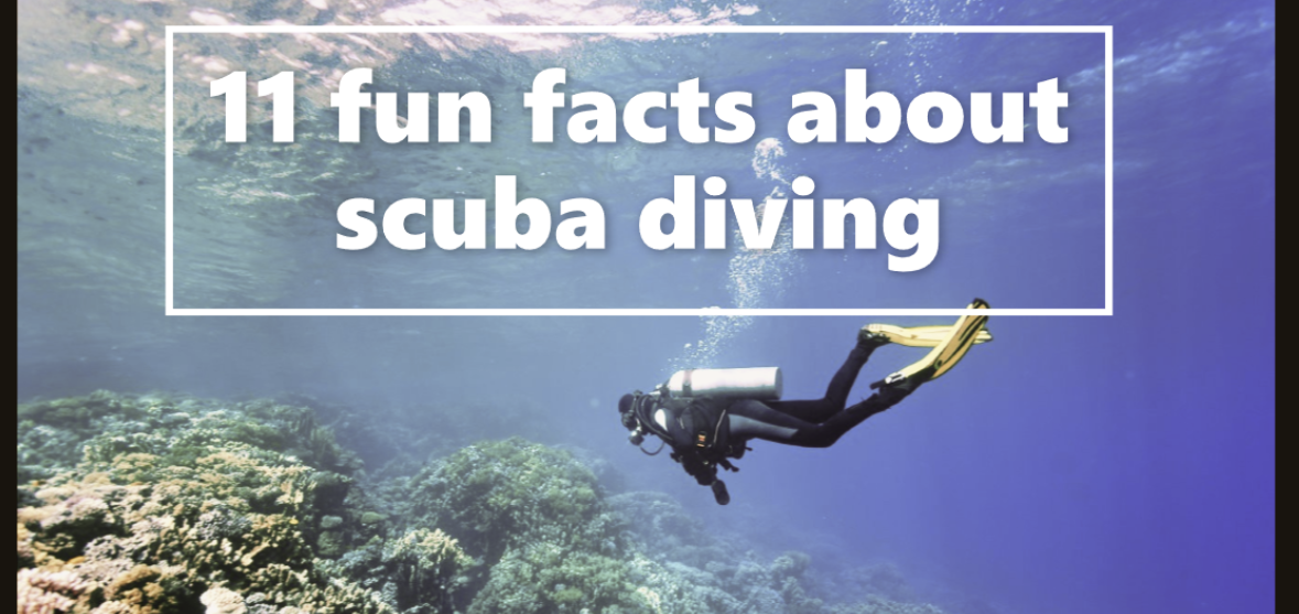 11 fun facts about scuba diving