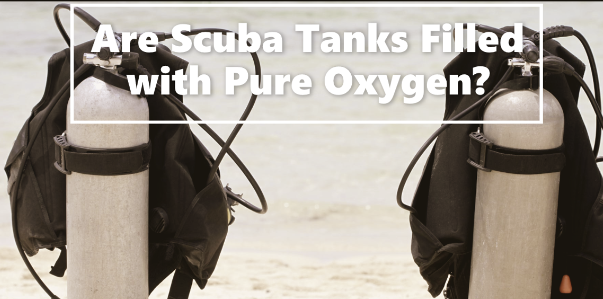 Are Scuba Tanks Filled with Pure Oxygen?