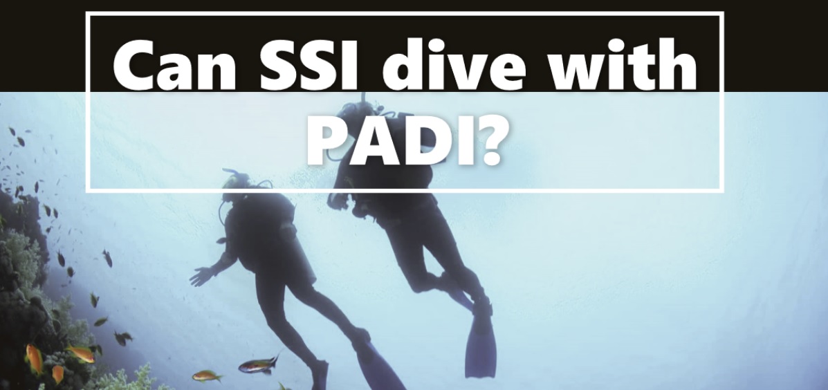 Can SSI dive with PADI?