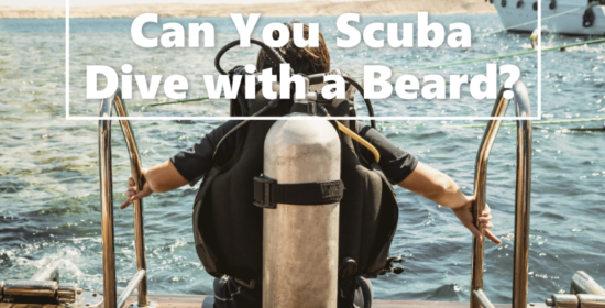 Can You Scuba Dive with a Beard?