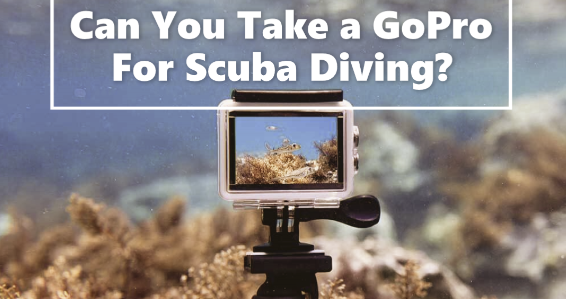 Can You Take a GoPro For Scuba Diving?