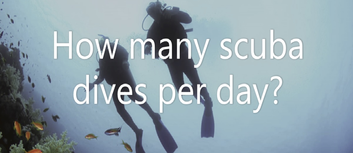 How many scuba dives per day?