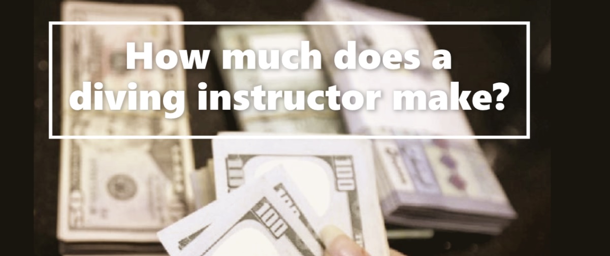 How much does a diving instructor make?