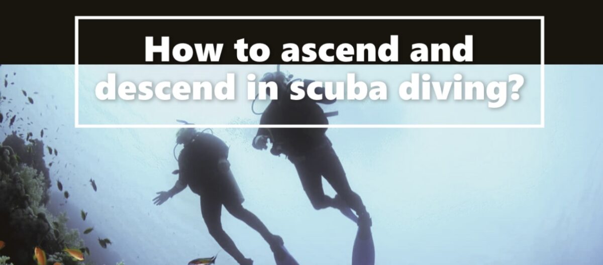 How to ascend and descend in scuba diving?