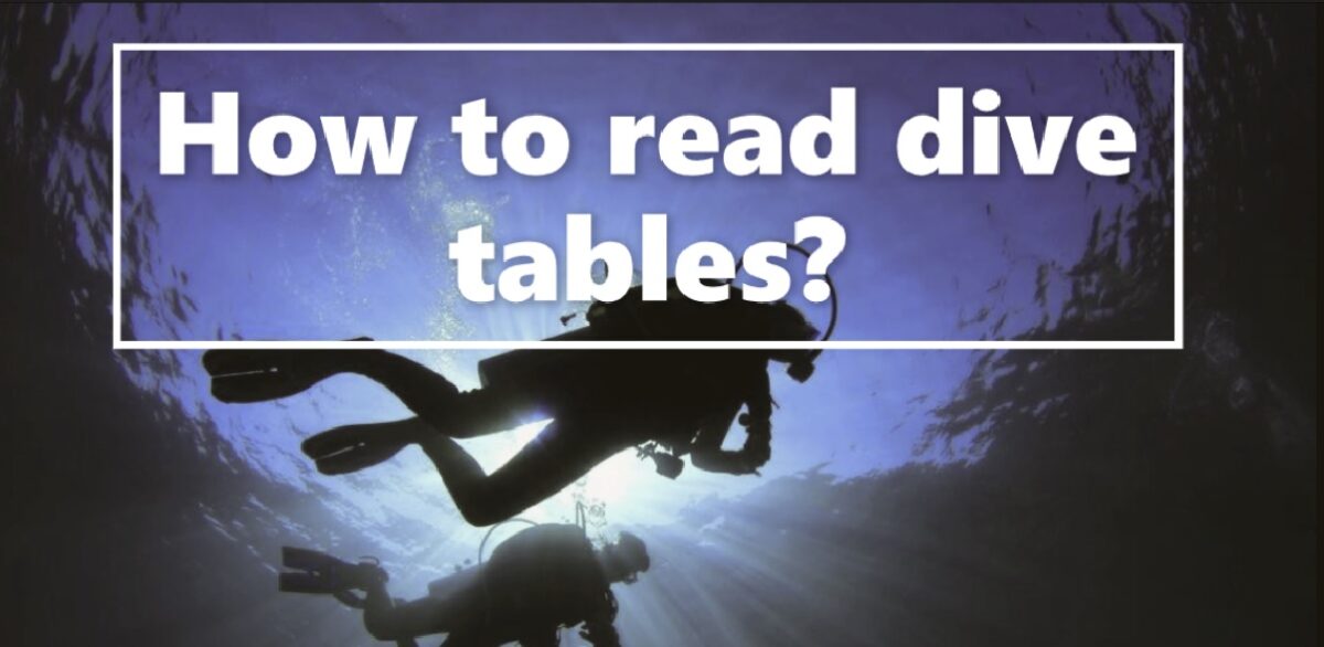 How to read dive tables?