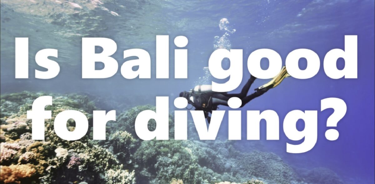 Is Bali good for diving