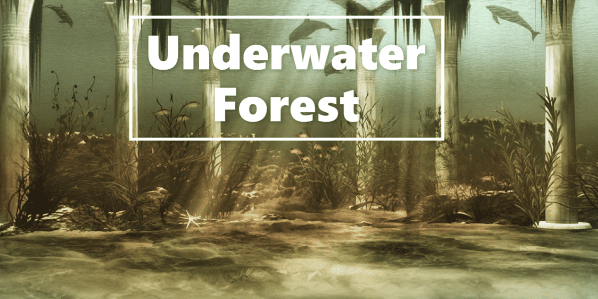 Underwater Forest