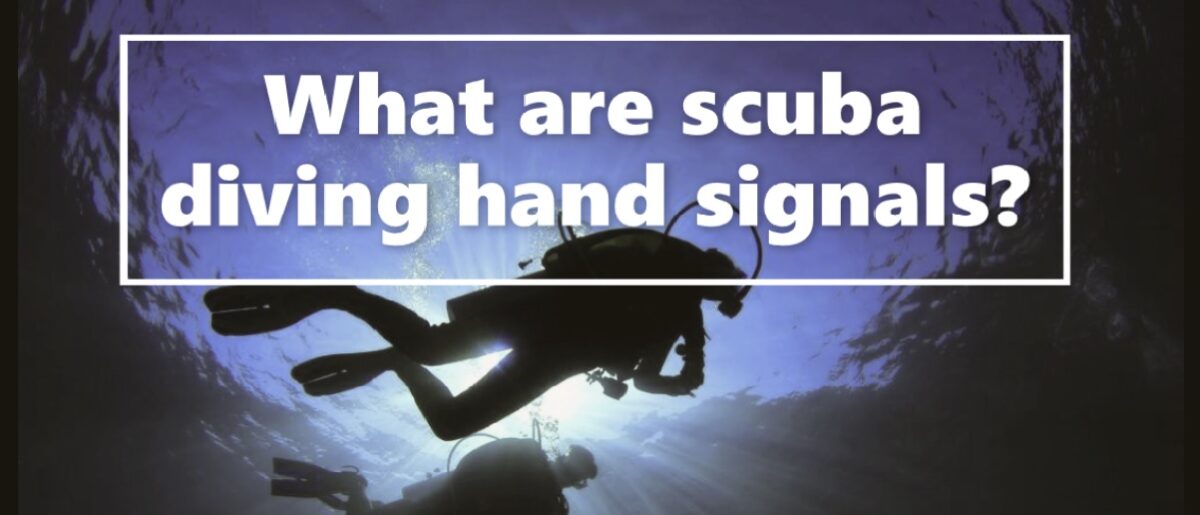 What are scuba diving hand signals