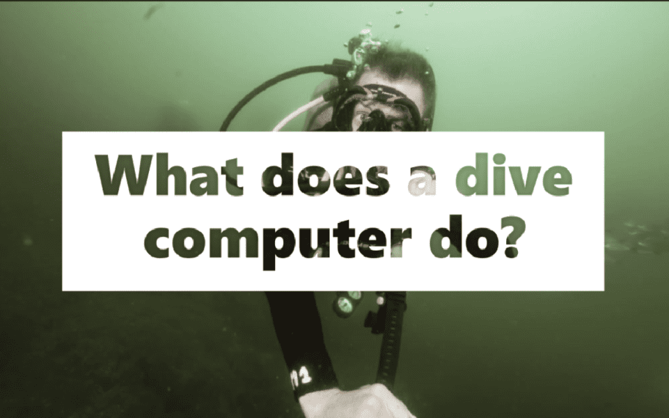 What does a dive computer do