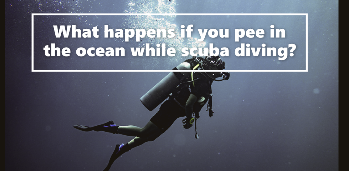 What happens if you pee in the ocean while scuba diving?