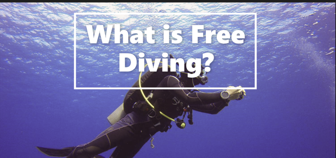 What is free diving?