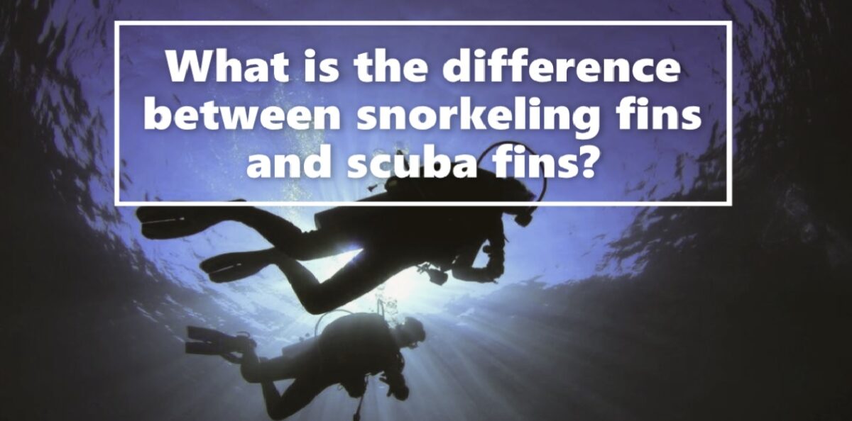difference between snorkeling fins and scuba fins