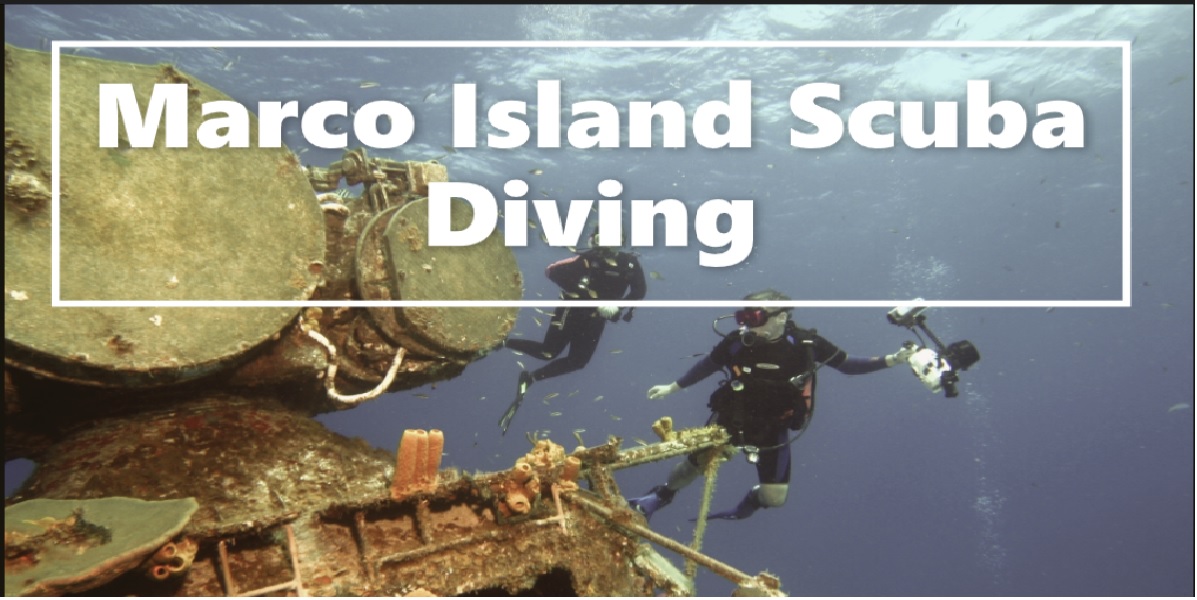 Marco Island Scuba Diving